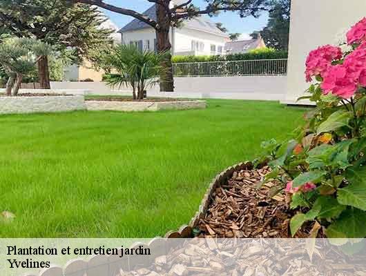 Plantation et entretien jardin Yvelines 