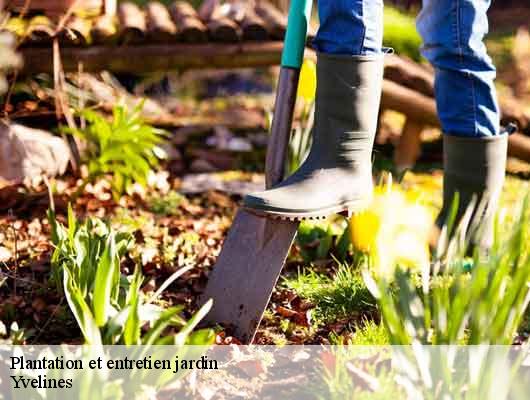 Plantation et entretien jardin