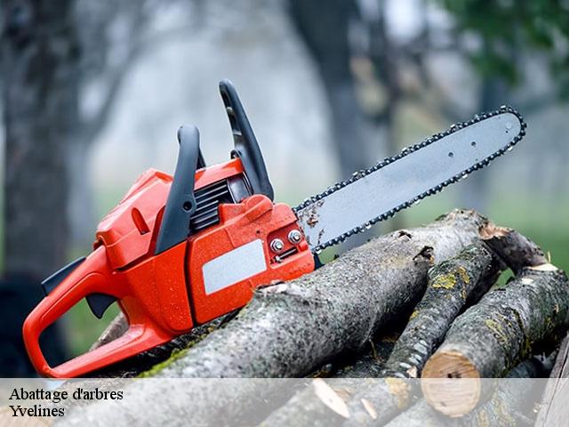 Abattage d'arbres Yvelines