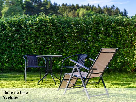 Taille de haie