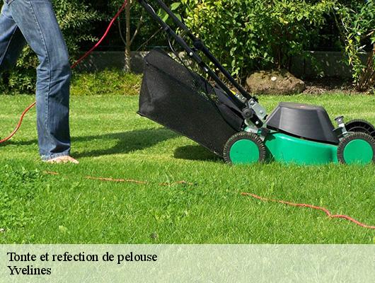 Tonte et refection de pelouse Yvelines 