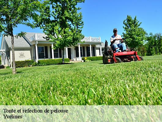 Tonte et refection de pelouse Yvelines 