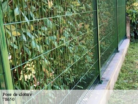 Pose de cloture  78650