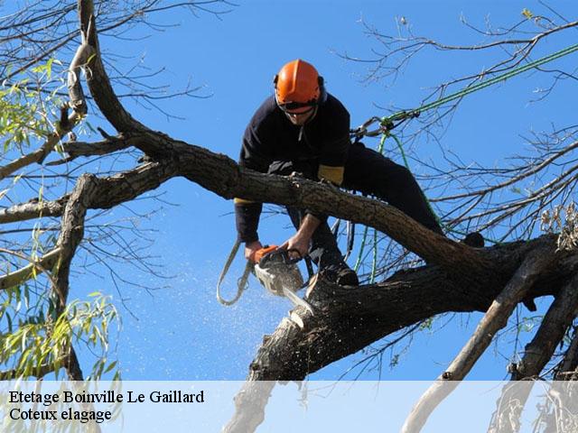 Etetage boinville-le-gaillard-78660