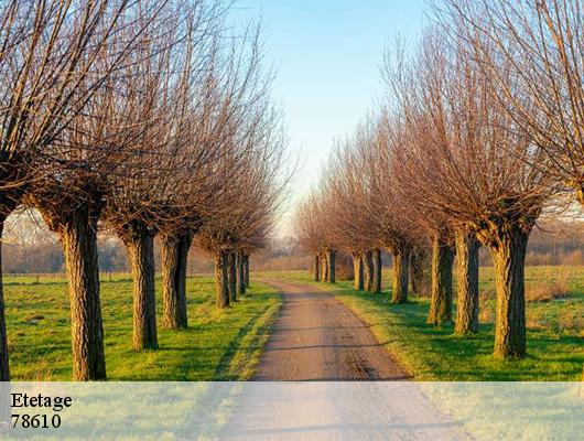 Etetage 78610