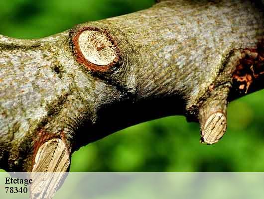 Etetage  78340
