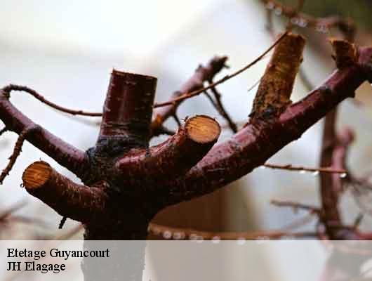 Etetage  78280