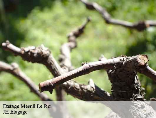 Etetage
