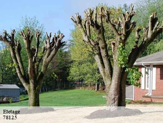 Etetage