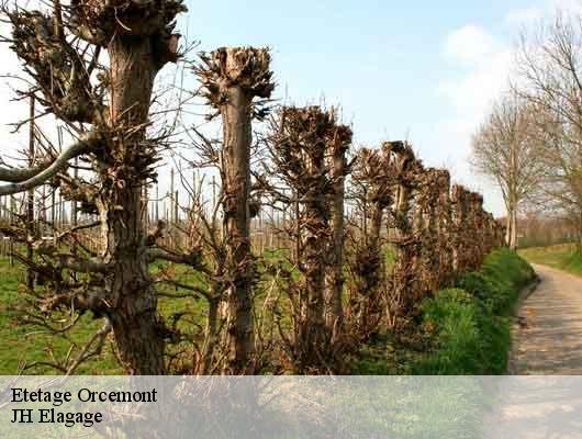 Etetage  orcemont-78125 JH Elagage