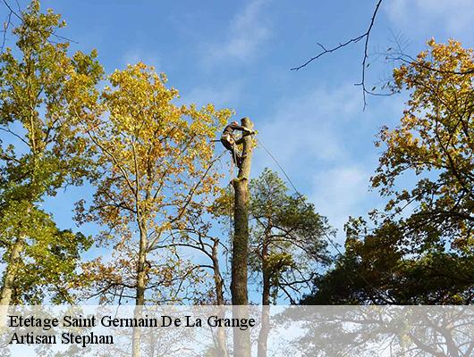 Etetage  saint-germain-de-la-grange-78640 Artisan Stephan