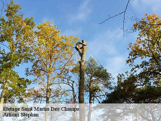 Etetage  saint-martin-des-champs-78790 Artisan Stephan