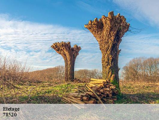 Etetage  78520