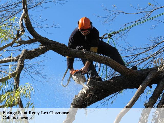 Etetage saint-remy-les-chevreuse-78470 Coteux elagage