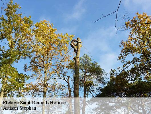 Etetage  saint-remy-l-honore-78690 Artisan Stephan