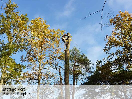 Etetage  vert-78930 Artisan Stephan