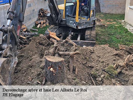 Dessouchage arbre et haie  78580