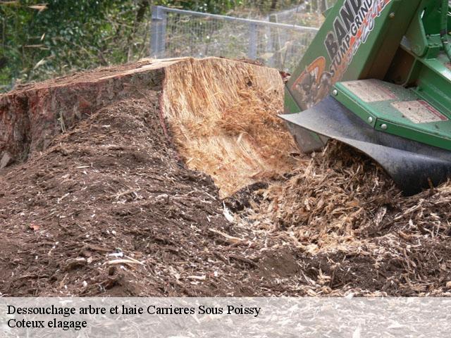 Dessouchage arbre et haie  carrieres-sous-poissy-78955 Coteux elagage