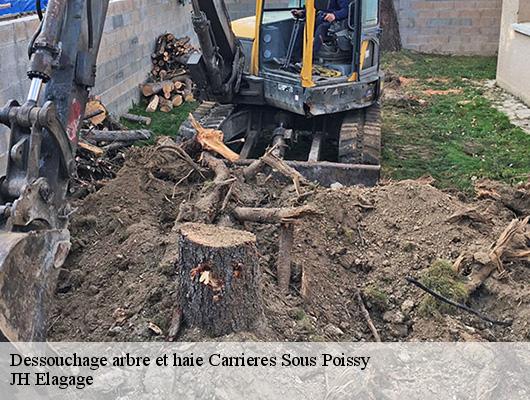 Dessouchage arbre et haie  78955