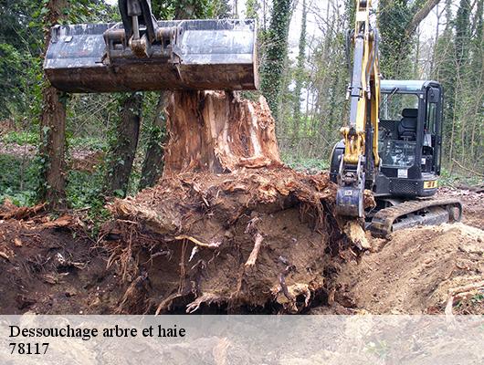 Dessouchage arbre et haie  78117