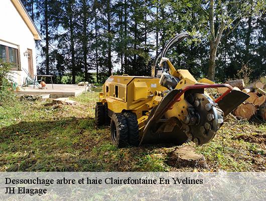 Dessouchage arbre et haie  clairefontaine-en-yvelines-78120 JH Elagage