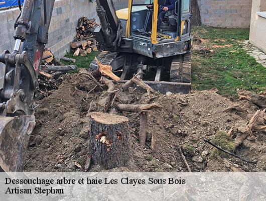 Dessouchage arbre et haie  78340