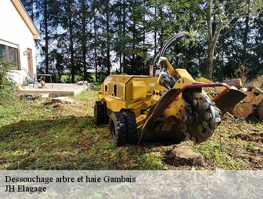 Dessouchage arbre et haie  gambais-78950 JH Elagage