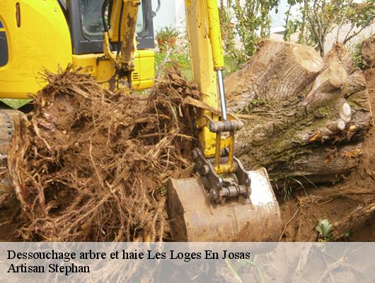 Dessouchage arbre et haie