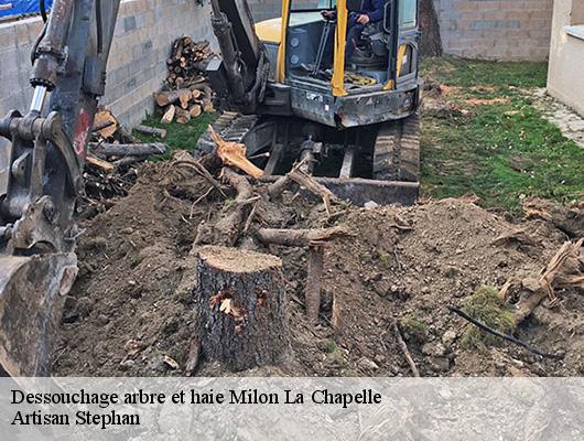 Dessouchage arbre et haie  78470