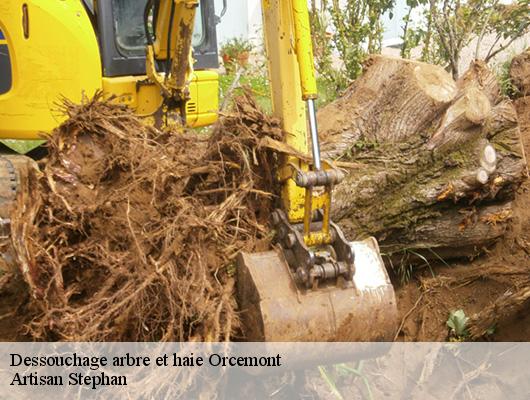 Dessouchage arbre et haie