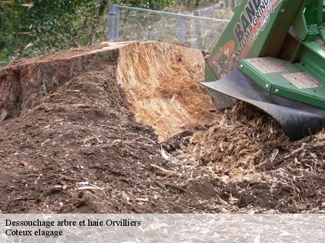 Dessouchage arbre et haie  orvilliers-78910 Coteux elagage