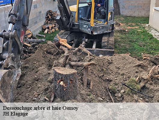 Dessouchage arbre et haie  78910