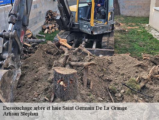 Dessouchage arbre et haie  78640