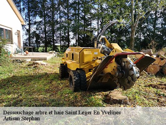 Dessouchage arbre et haie saint-leger-en-yvelines-78610 Artisan Stephan