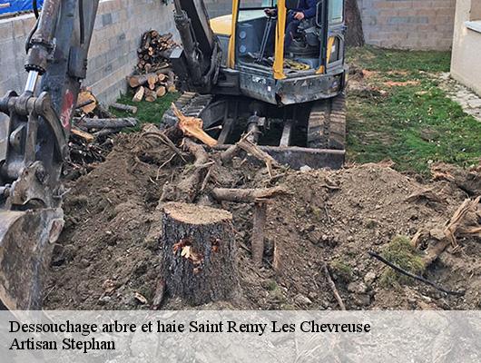 Dessouchage arbre et haie 78470