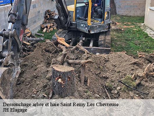 Dessouchage arbre et haie  78470