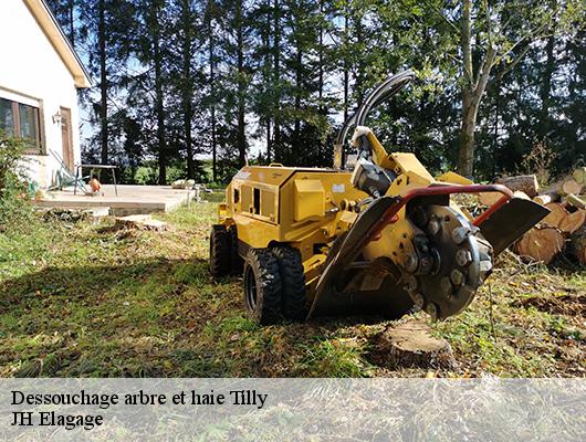 Dessouchage arbre et haie  tilly-78790 JH Elagage