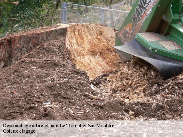 Dessouchage arbre et haie  le-tremblay-sur-mauldre-78490 Coteux elagage