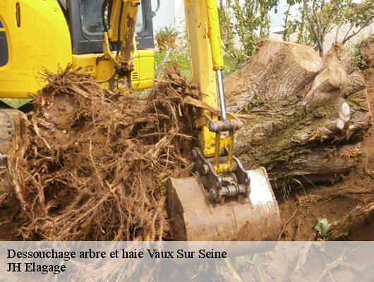 Dessouchage arbre et haie