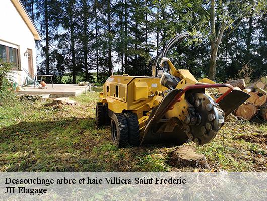 Dessouchage arbre et haie  villiers-saint-frederic-78640 JH Elagage