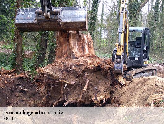 Dessouchage arbre et haie 78114