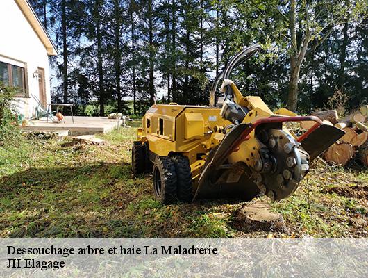 Dessouchage arbre et haie  la-maladrerie-78300 JH Elagage