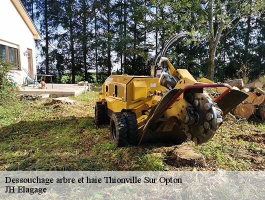 Dessouchage arbre et haie  thionville-sur-opton-78550 JH Elagage