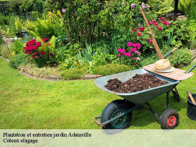 Plantation et entretien jardin  adainville-78113 Coteux elagage