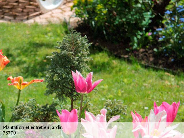 Plantation et entretien jardin 78770