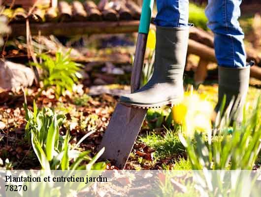 Plantation et entretien jardin