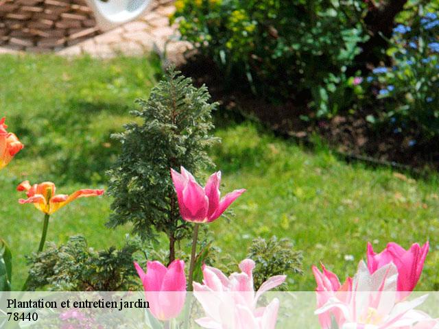 Plantation et entretien jardin 78440
