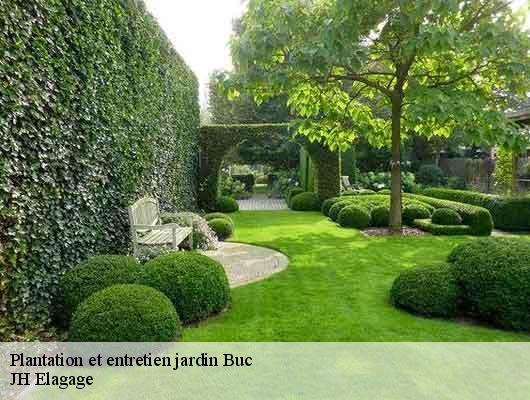 Plantation et entretien jardin