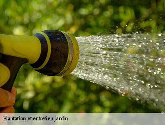 Plantation et entretien jardin