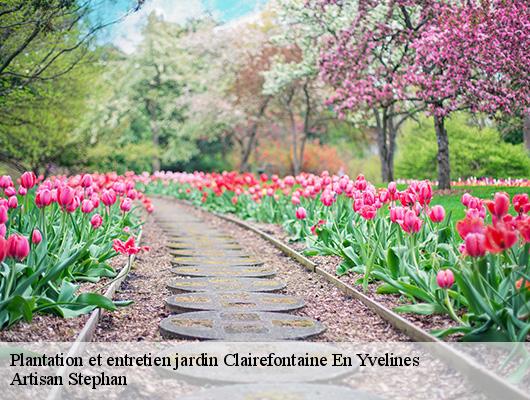 Plantation et entretien jardin  78120